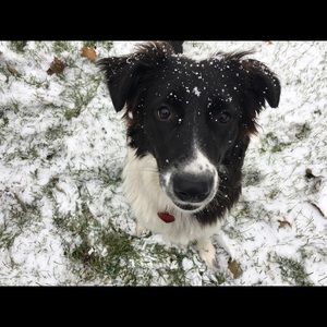 Meet your Posher, Candece